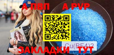 стаф Берёзовский