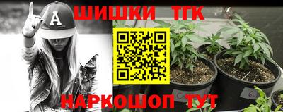 спиды Бийск