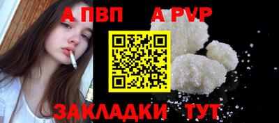 стаф Берёзовский