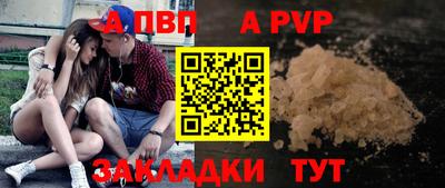 стаф Берёзовский