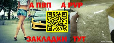 стаф Берёзовский