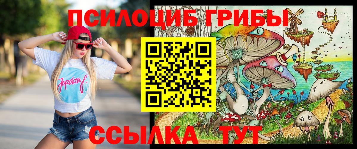 Псилоцибиновые грибы Cubensis Изобильный