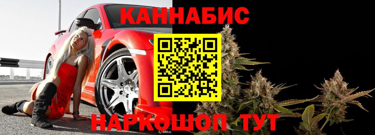 Шишки марихуана сатива  Конопля AK-47  Каннабис планчик  Изобильный  Вход с VPN 